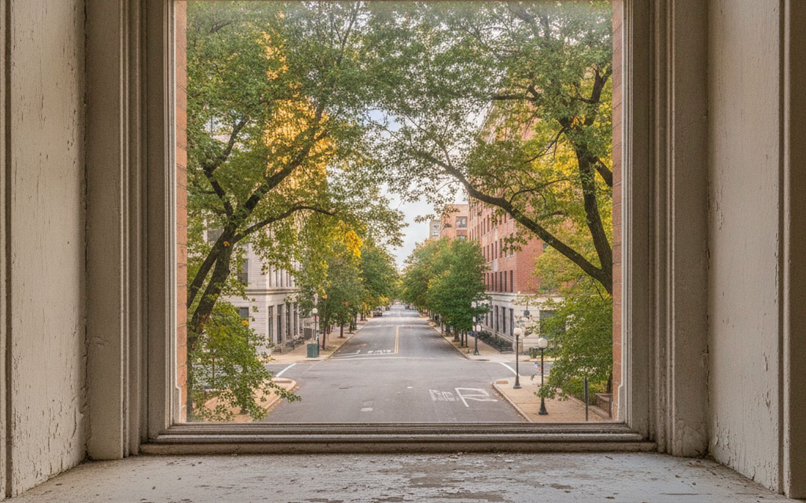 A tall sash window in a deep painted reveal, looking down a tree lined avenue of low brick buildings in late afternoon light, worn paintwork on the sill, nobody in frame